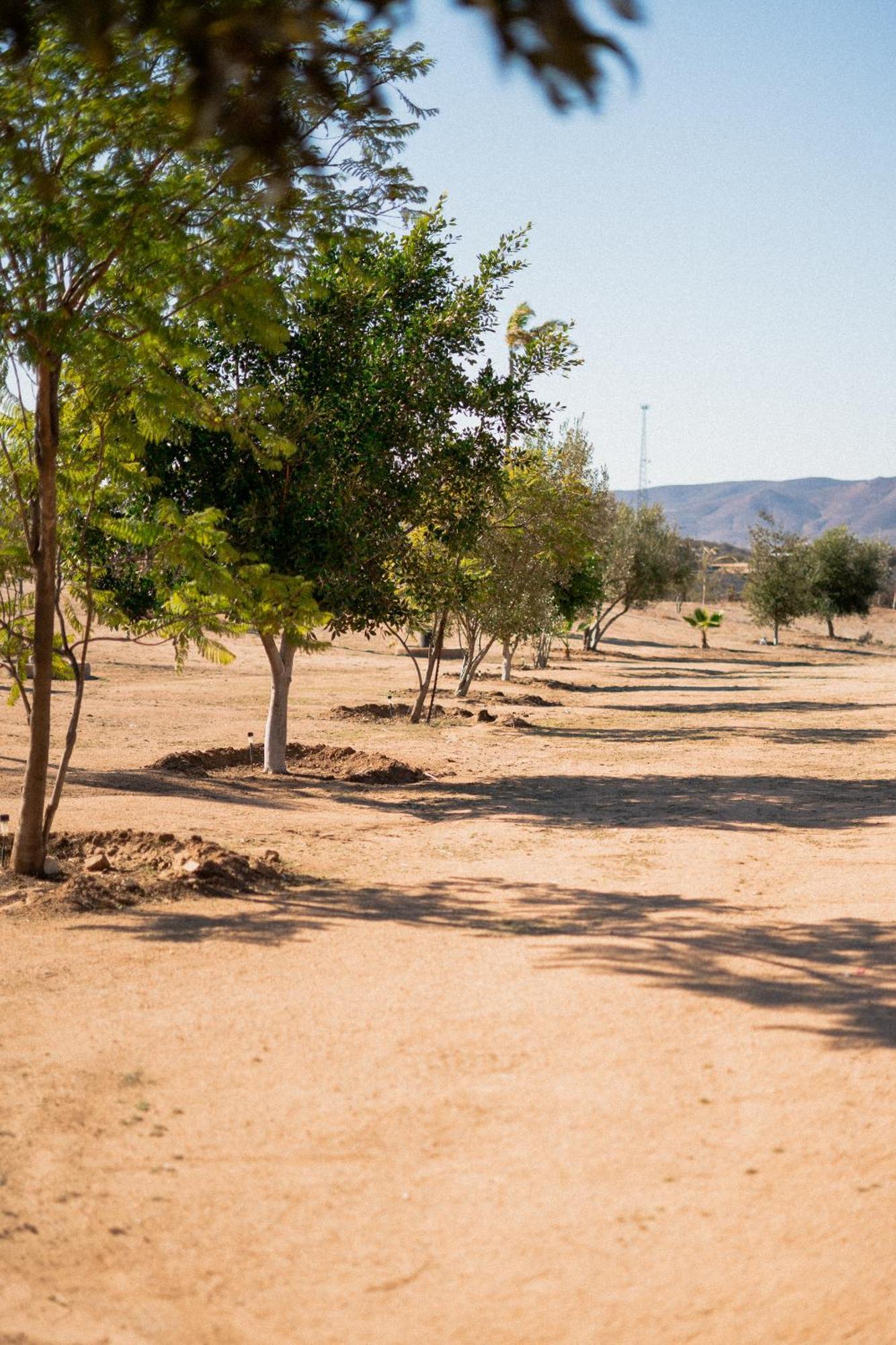 Villa Victoria, Valle De Guadalupe Buitenkant foto
