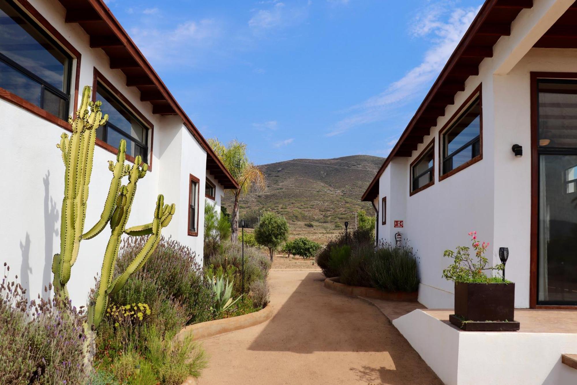 Villa Victoria, Valle De Guadalupe Buitenkant foto