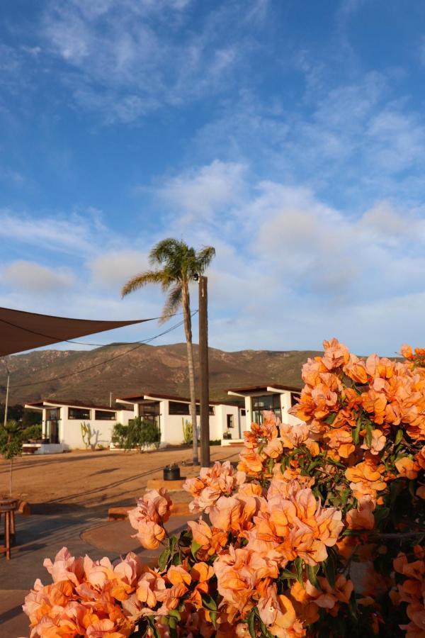 Villa Victoria, Valle De Guadalupe Buitenkant foto